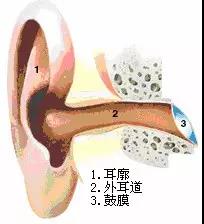 外耳道炎