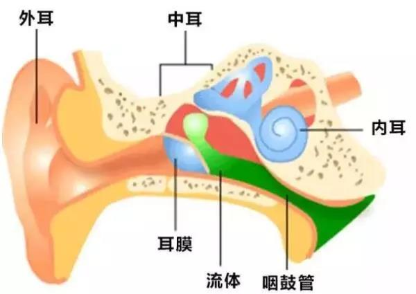 外耳道炎的危害有哪些