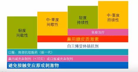 过敏性鼻炎的阶梯治疗