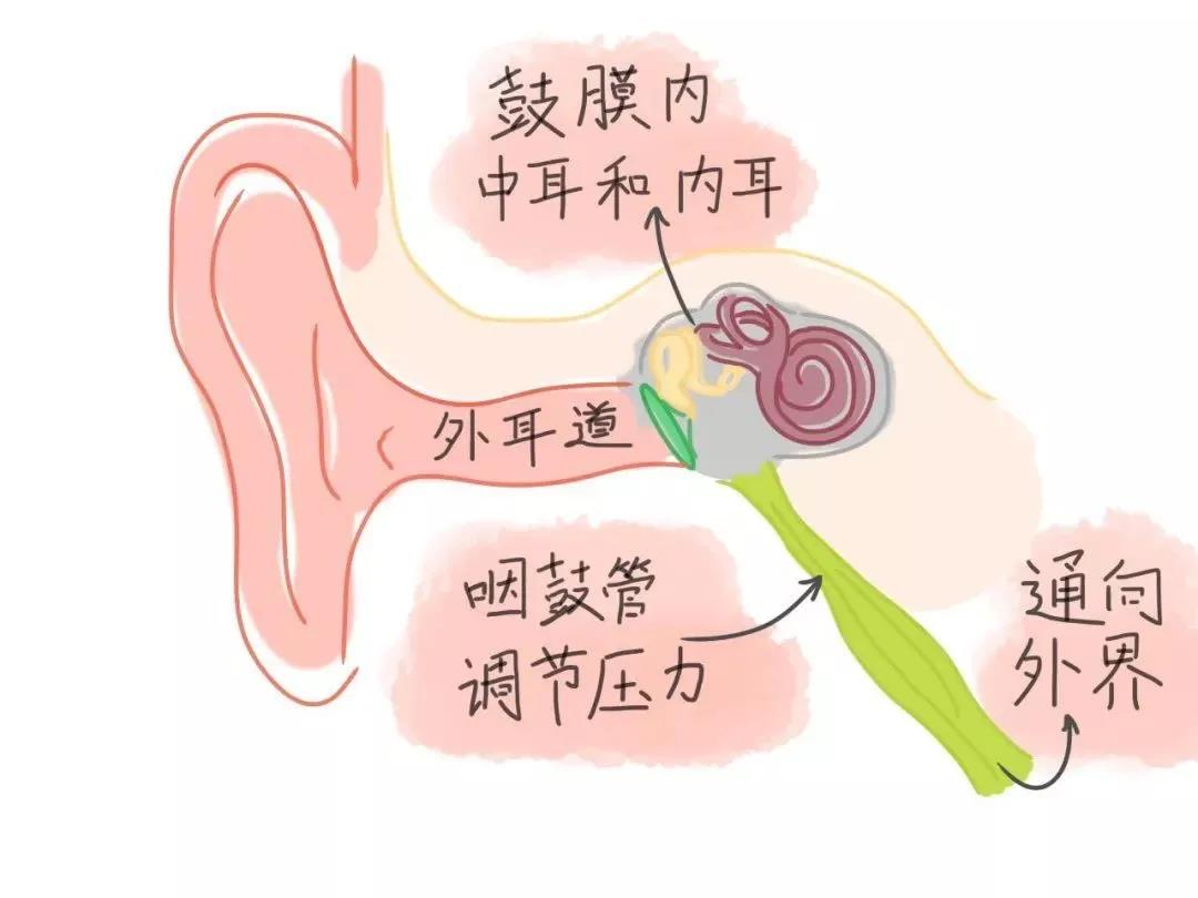 外耳道炎