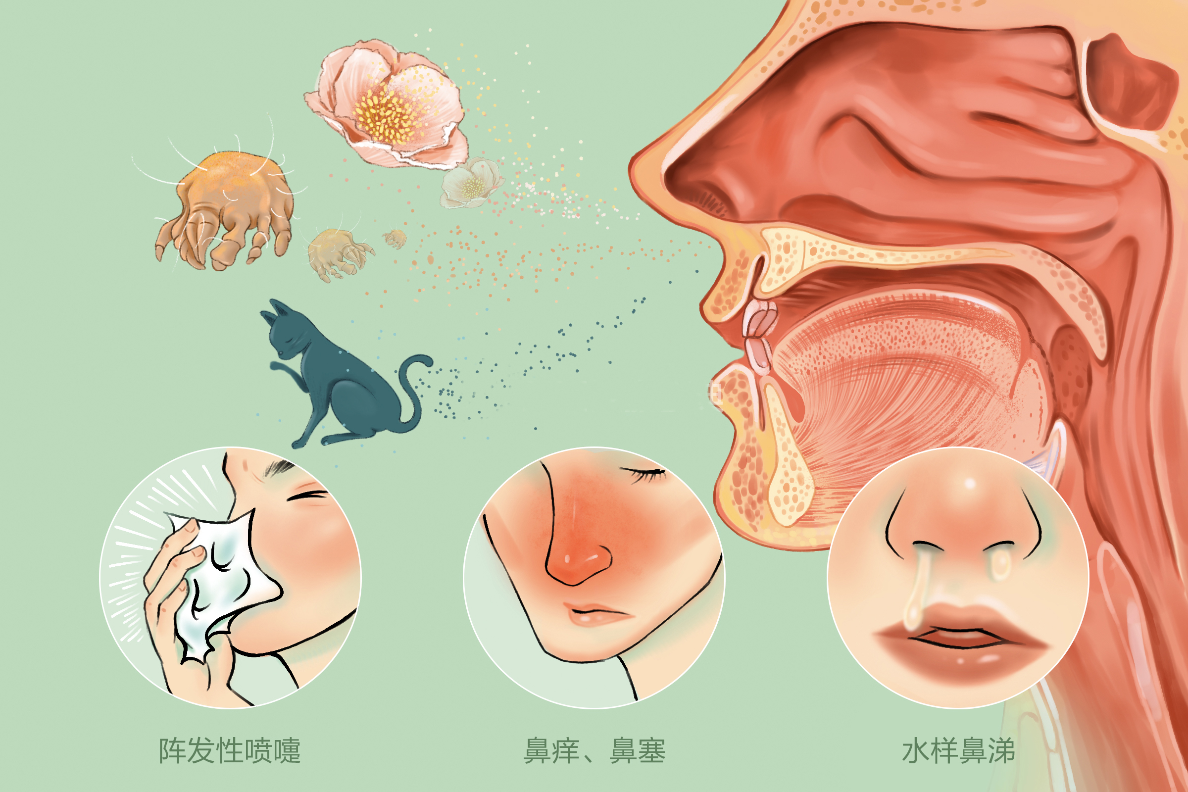 重庆耳鼻喉科医院排名