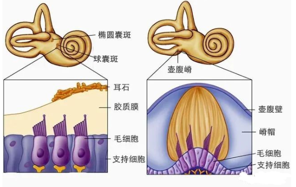 重庆耳石症医院